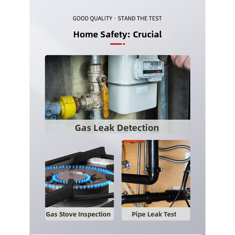 Detector de Gas Portátil en Fo - Industrial Visual reseña y precio