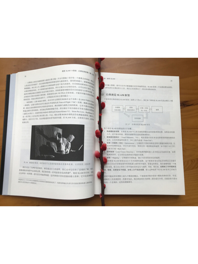 Libro-Winshare Cuardici Confer - Industrial Visual reseña y precio